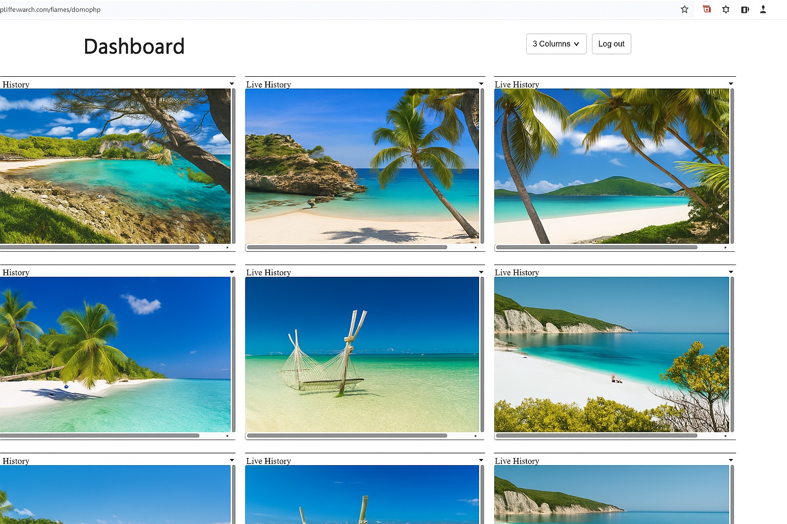 Wolfeye live dashboard for business computers
